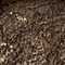 1 Yard Premium Mandy Mesh Sequin Fabric, 58" Cut Width, 50" Usable Width, 92% Polyester, 8% Spandex